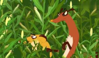 小鸡不好惹主题曲