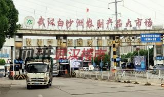 武汉白沙洲市场 武汉白沙洲市场