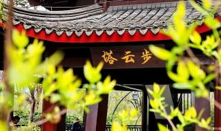 桃花源水上人家 桃花源水上人家