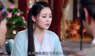 顽皮王妃冷王爷 顽皮王妃冷王爷