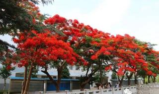 云南省建水一中 云南省建水一中