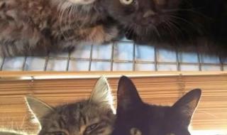 小时候vs长大后 小时候vs长大后