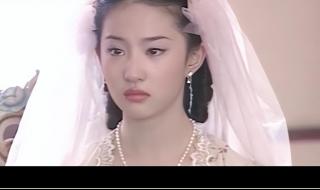 天龙八部林志颖 天龙八部林志颖