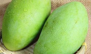 云南大芒果 云南大芒果