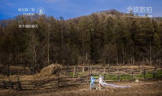 哈尔滨婚纱摄影团购 哈尔滨婚纱摄影团购