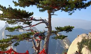 华山医院皮肤科预约 华山医院皮肤科预约