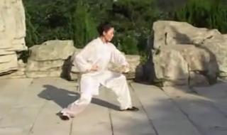 杨氏太极拳85式 杨氏太极拳85式