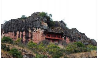 我愿是满山的杜鹃 我愿是满山的杜鹃