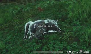 新世界分解装备