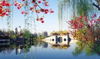 阎肃歌词歌曲精选