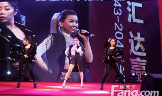 王蓉演唱会 王蓉演唱会