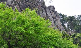 从化石门国家森林公园 从化石门国家森林公园