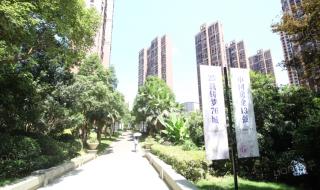 新城国际花都 新城国际花都