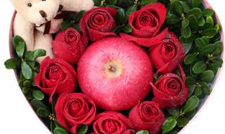 圣诞玫瑰好看吗