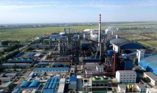 上海焦化有限公司 上海焦化有限公司