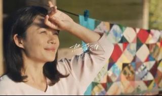 热带雨未删减版观看