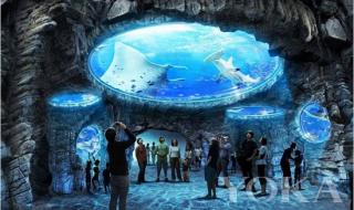 去香港买什么好 去香港买什么好