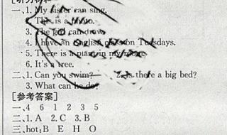 3年级寒假作业答案