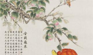 桃子老师和4个学生