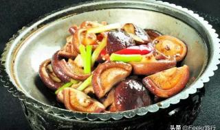 香菇之乡在哪浙江 香菇之乡在哪浙江