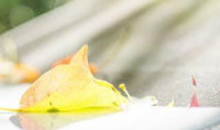 三国志11武将头像包