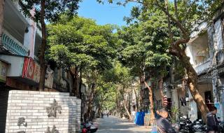 隐秘的角落带火湛江