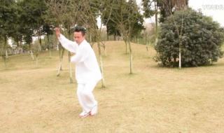 48式太极拳分解教学 48式太极拳分解教学