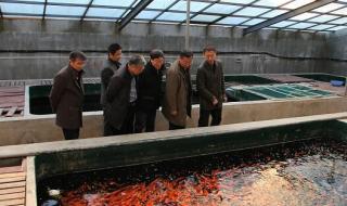 农业部管理干部学院