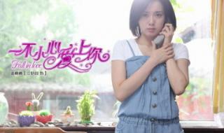 电视剧一不小心爱上你 电视剧一不小心爱上你