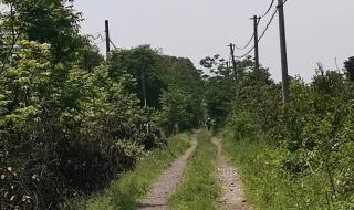 东钱湖南宋石刻公园 东钱湖南宋石刻公园