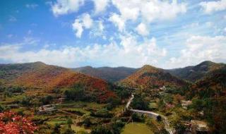 少林寺门票价格 少林寺门票价格