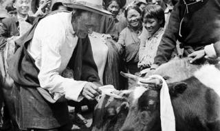 舞蹈翻身农奴把歌唱 舞蹈翻身农奴把歌唱