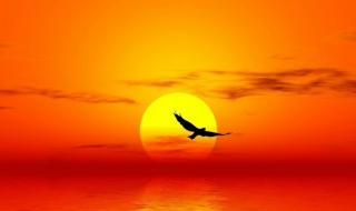 中国达人秀从头再来