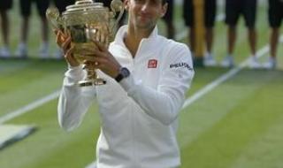 2017温网德约科维奇 2017温网德约科维奇